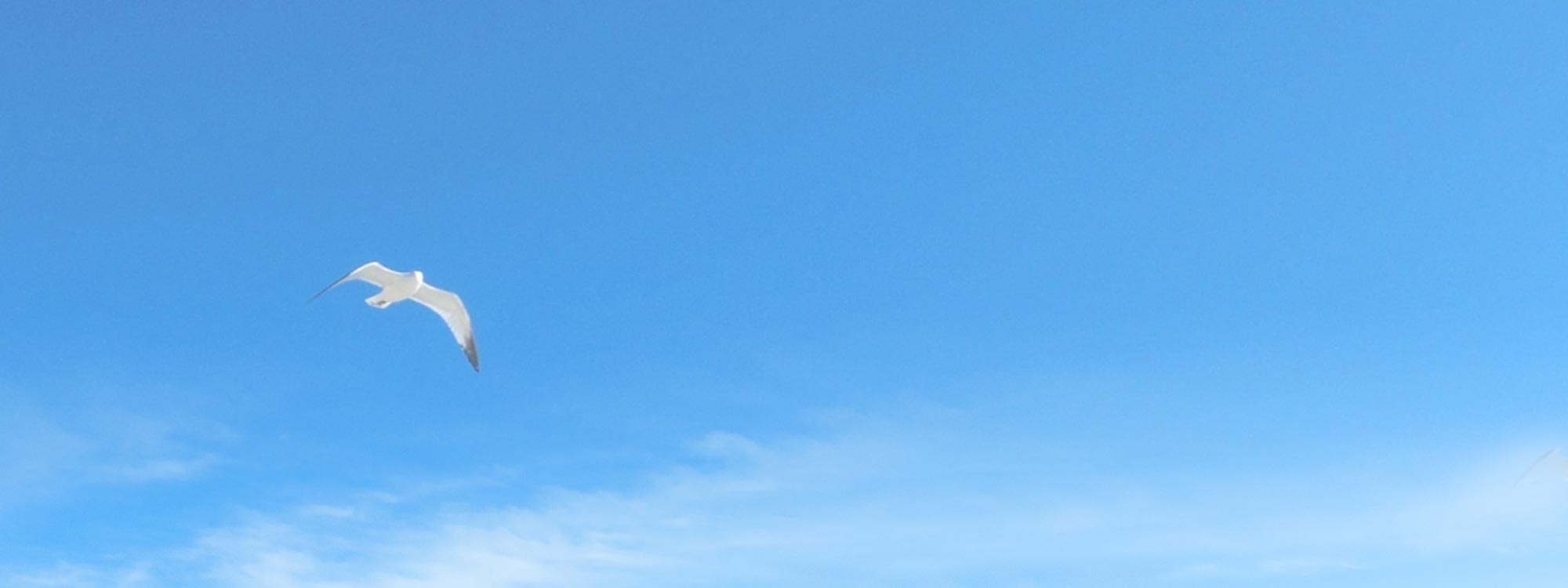 メインビジュアル1